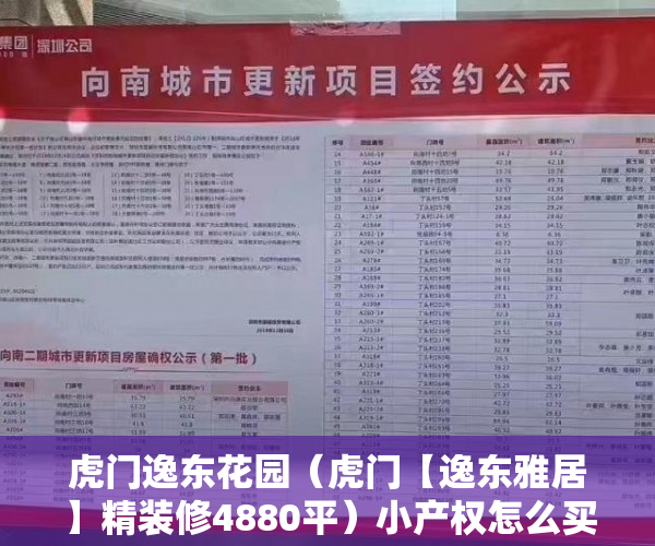 虎门逸东花园（虎门【逸东雅居】精装修4880平）小产权怎么买，