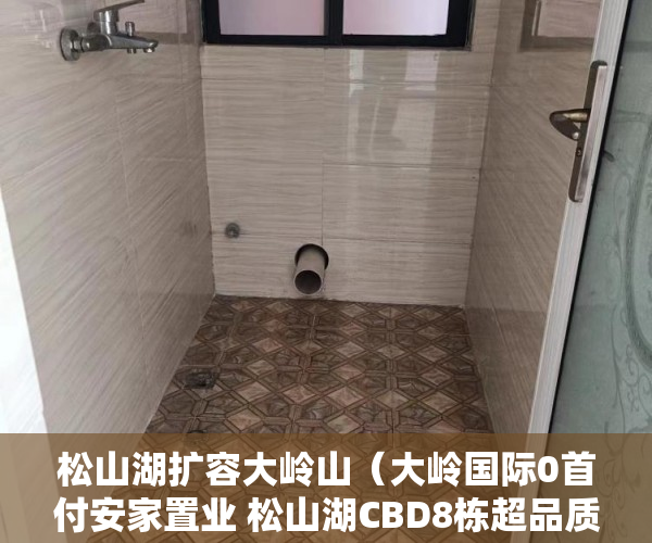 松山湖扩容大岭山（大岭国际0首付安家置业 松山湖CBD8栋超品质奢居 星级户 ）小产权申请查封要多久，