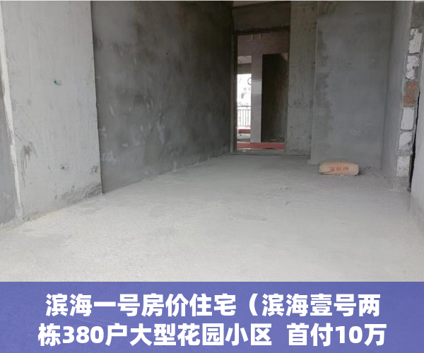 滨海一号房价住宅（滨海壹号两栋380户大型花园小区  首付10万、总价36万起 ）小产权房交房后多久办理产权，