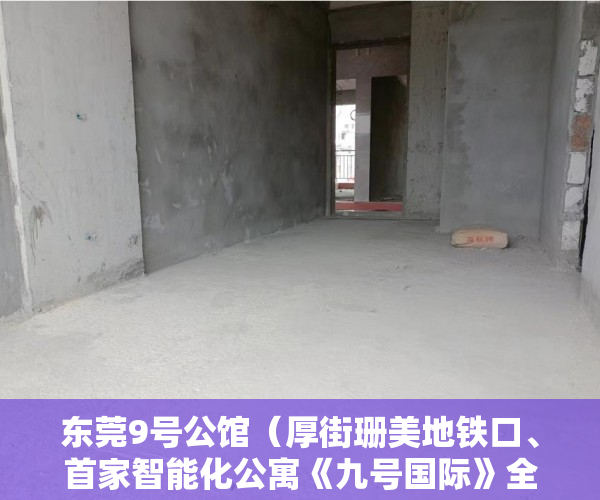 东莞9号公馆（厚街珊美地铁口、首家智能化公寓《九号国际》全房精装修 ）小产权房认定后怎么办，