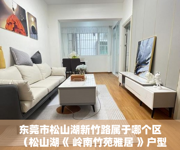 东莞市松山湖新竹路属于哪个区（松山湖《 岭南竹苑雅居 》户型方正，无敌彩光最高的优质 ）小产权房怎么贷款，