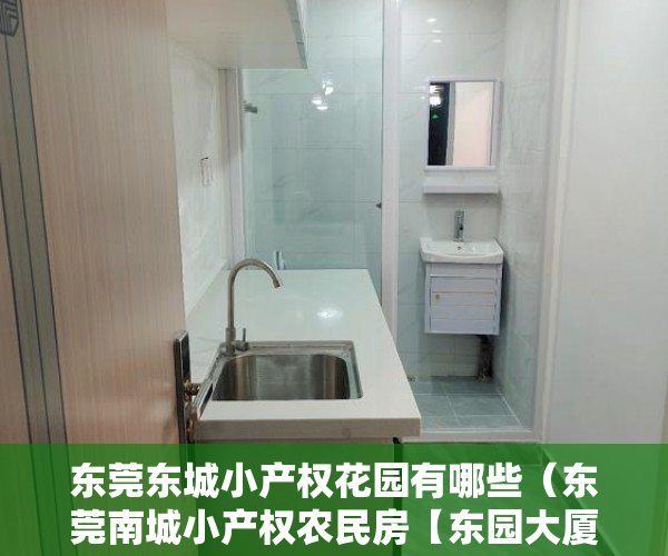 东莞东城小产权花园有哪些（东莞南城小产权农民房【东园大厦】均价6000元一平 ）小产权选房后多久交房款，