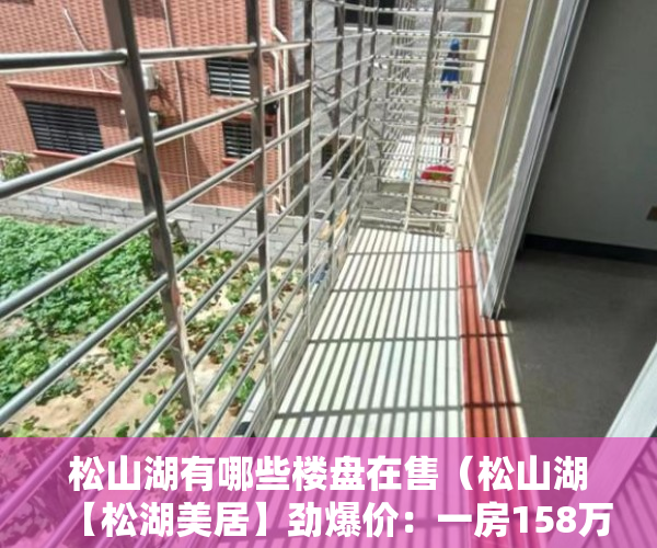 松山湖有哪些楼盘在售（松山湖【松湖美居】劲爆价：一房158万起！ ）大产权办下来后多久能办小产权，