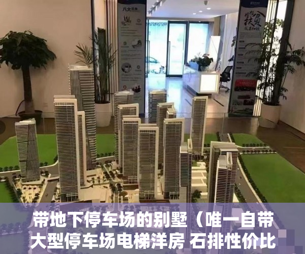 带地下停车场的别墅（唯一自带大型停车场电梯洋房 石排性价比之王，自带免费 ）小产权怎么更名，