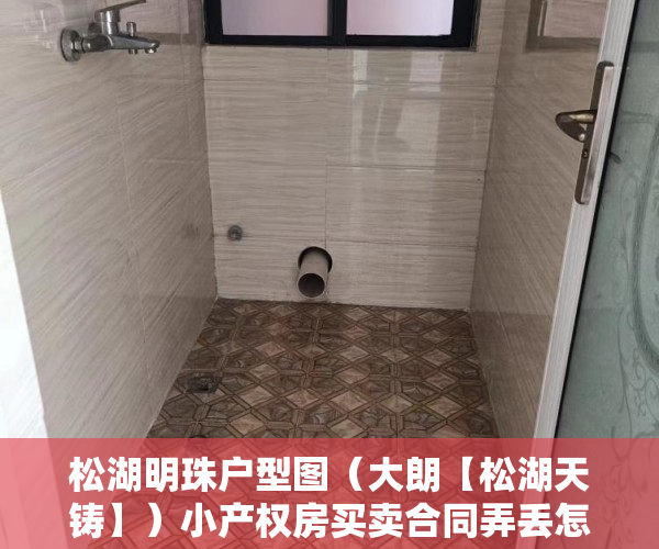 松湖明珠户型图（大朗【松湖天铸】）小产权房买卖合同弄丢怎么办，