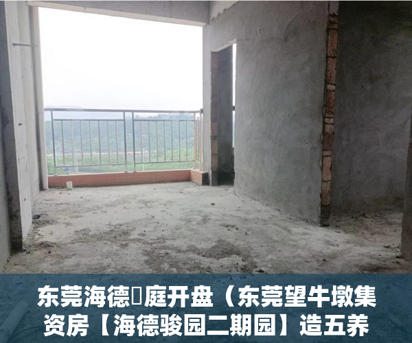 东莞海德珺庭开盘（东莞望牛墩集资房【海德骏园二期园】造五养体验 ）厦门小产权房能住多久，