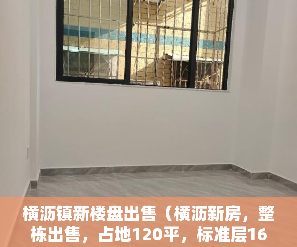 横沥镇新楼盘出售（横沥新房，整栋出售，占地120平，标准层160平 ）小产权房贷款多久能放款，