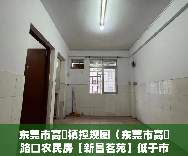 东莞市高埗镇控规图（东莞市高埗路口农民房【新昌茗苑】低于市场价 ）大产权小产权怎么看，