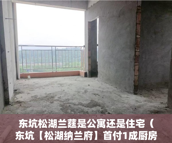 东坑松湖兰莛是公寓还是住宅（东坑【松湖纳兰府】首付1成厨房全套、卫生间全套 ）小产权房70年后怎么办，