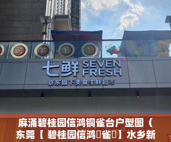 麻涌碧桂园信鸿铜雀台户型图（东莞【 碧桂园信鸿銅雀臺】水乡新城·望海路5号 ）深圳小产权房的产权多久，