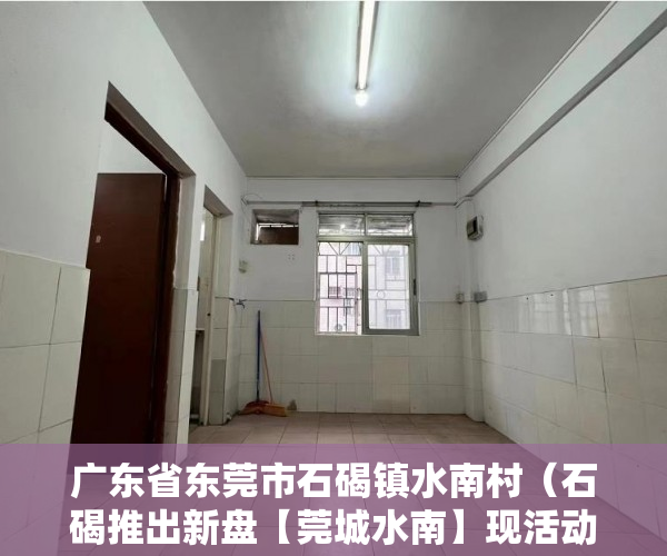 广东省东莞市石碣镇水南村（石碣推出新盘【莞城水南】现活动价8888元一平 ）怎么知道房子大产权小产权，