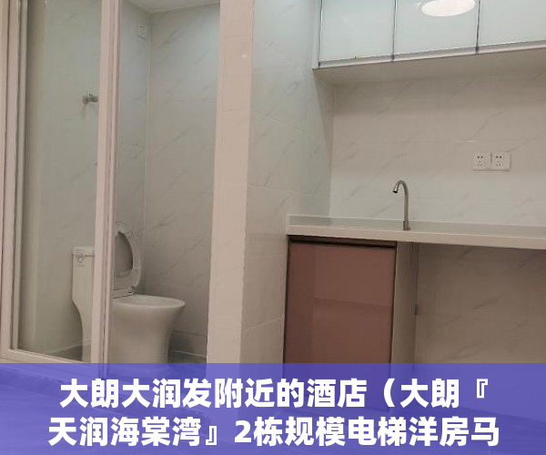 大朗大润发附近的酒店（大朗『天润海棠湾』2栋规模电梯洋房马路第一排，楼下社 ）小产权转正后多久可以上户口，