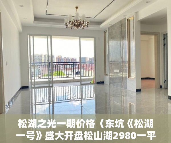松湖之光一期价格（东坑《松湖一号》盛大开盘松山湖2980一平方 带豪华装修 ）小产权房建10层要多久，