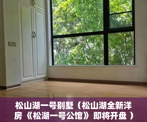 松山湖一号别墅（松山湖全新洋房 《松湖一号公馆》 即将开盘 ）小产权房多久有房产证，