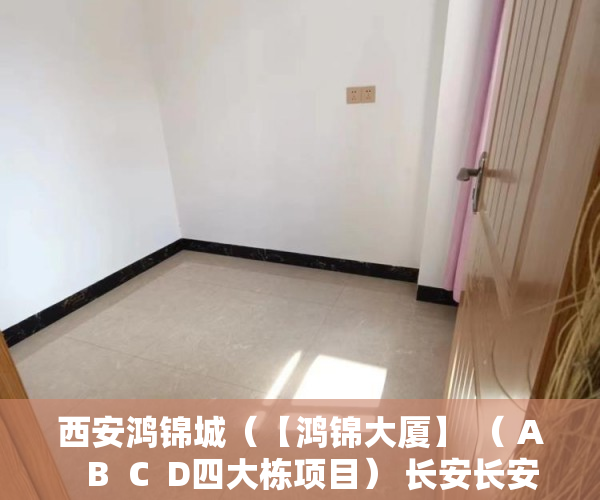 西安鸿锦城（【鸿锦大厦】 （ A   B  C  D四大栋项目） 长安长安站4 ）小产权过户手续多久办下来，