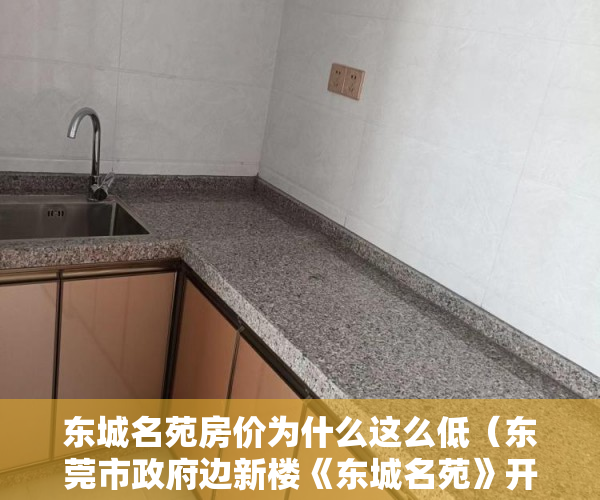 东城名苑房价为什么这么低（东莞市政府边新楼《东城名苑》开盘）小产权房使用年限是多久，