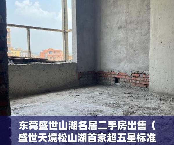 东莞盛世山湖名居二手房出售（盛世天境松山湖首家超五星标准统建楼!打造全城最顶级豪 ）小产权房严打时间是多久，