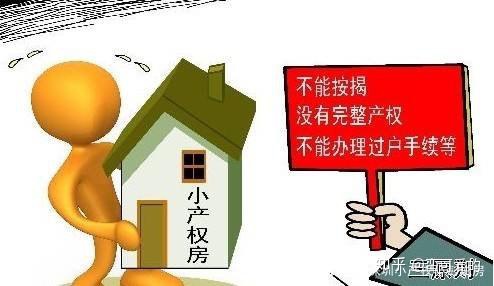 这都可以（深圳小产权房要转正）深圳小产权房是否能转正？，深圳龙岗小产权房政策，